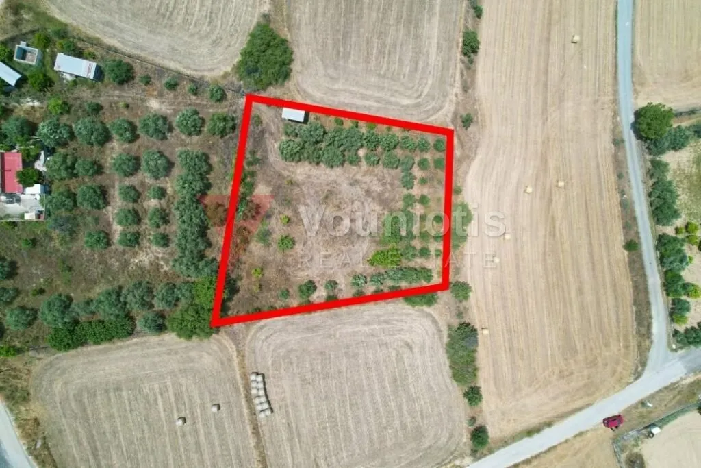 Residential field in Pera, Nicosia — photo 4