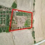 Residential field in Pera, Nicosia — Nicosia, Pera (4)