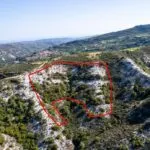 Agricultural field in Pera Pedi, Limassol — Limassol, Pera Pedi (4)