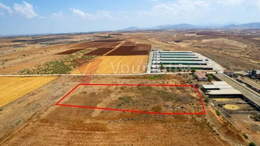 Agricultural field in Peristerona, Nicosia — photo 3