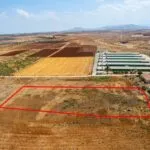 Agricultural field in Peristerona, Nicosia — Nicosia, Peristerona (3)