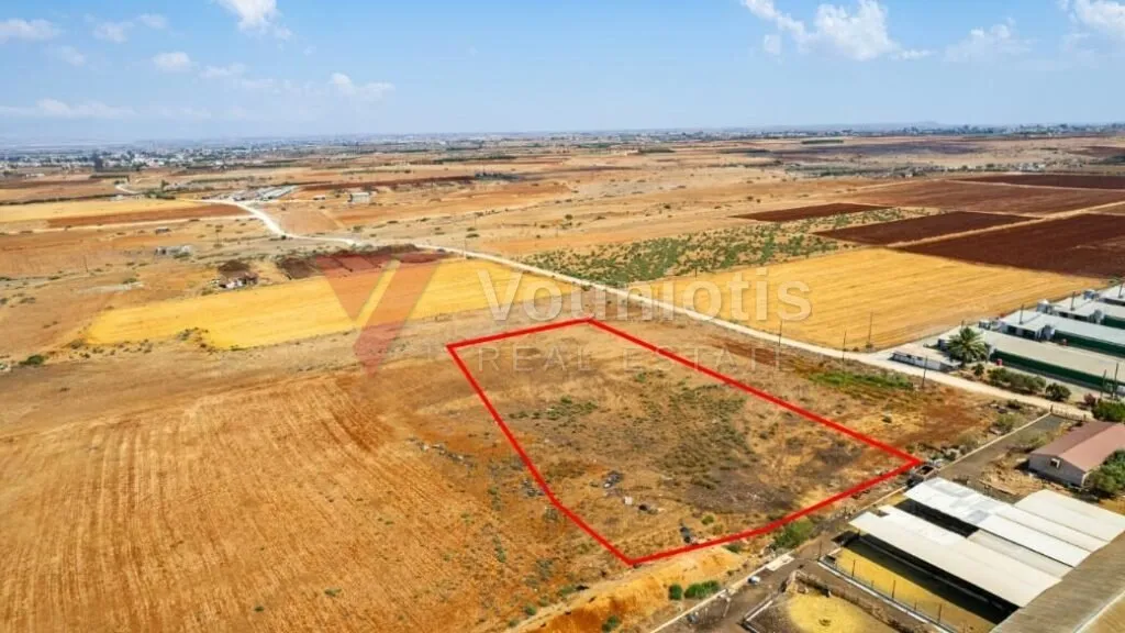 Agricultural field in Peristerona, Nicosia — photo 4