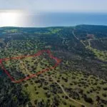Touristic field in Pissouri, Limassol — Limassol, Pissouri