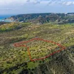 Touristic field in Pissouri, Limassol — Limassol, Pissouri (2)