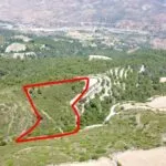 Field in Prastio, Paphos — Paphos, Prastio (2)