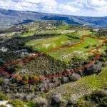 Shared agricultural field in Salamiou, Paphos — Paphos, Salamiou