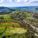 Shared agricultural field in Salamiou, Paphos — Paphos, Salamiou (2)