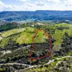 Shared agricultural field in Salamiou, Paphos — Paphos, Salamiou (4)