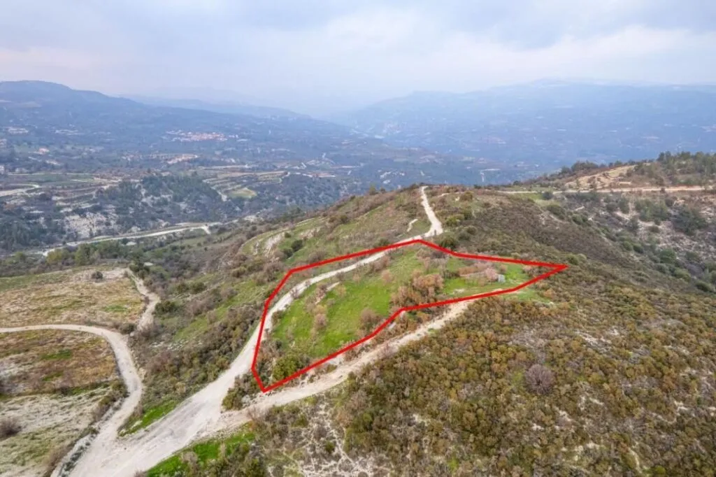 Shared agricultural field in Salamiou, Paphos — photo 2