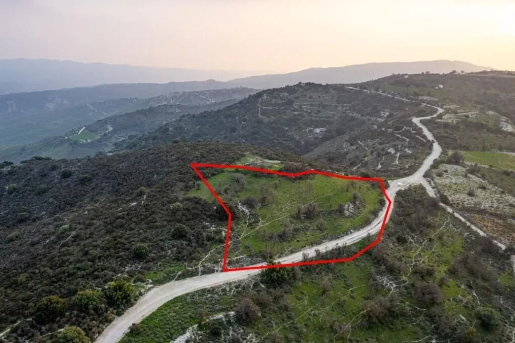 Shared agricultural field in Salamiou, Paphos — photo 4