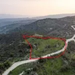 Shared agricultural field in Salamiou, Paphos — Paphos, Salamiou (4)