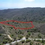 Shared field in Sanida, Limassol — Limassol, Sanida