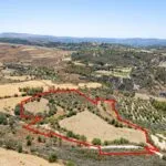 Agricultural field in Thrinia, Paphos — Paphos, Thrinia