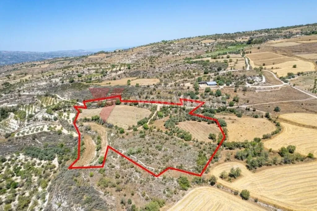 Agricultural field in Thrinia, Paphos — photo 3