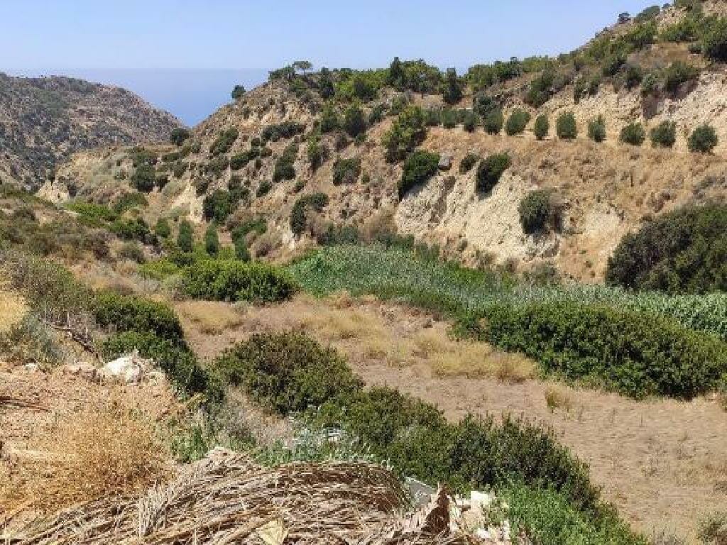 Agricultural Field in Pissouri Limassol
