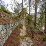Four-Bedroom House in Pelendri, Limassol — Limassol, Pelendri (3)