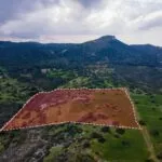 Field (Share) – Neo Chorio, Paphos — Paphos, Neo Chorio (11)