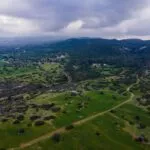 Field (Share) – Neo Chorio, Paphos — Paphos, Neo Chorio (13)