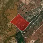 Field (Share) – Neo Chorio, Paphos — Paphos, Neo Chorio (14)