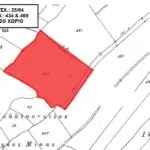 Field (Share) – Neo Chorio, Paphos — Paphos, Neo Chorio (16)