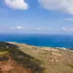 Field (Share) – Neo Chorio, Paphos — Paphos, Neo Chorio (12)