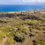 Field (Share) – Neo Chorio, Paphos — Paphos, Neo Chorio (14)
