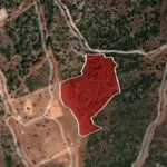 Field (Share) – Neo Chorio, Paphos — Paphos, Neo Chorio (15)