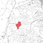 Field (Share) – Neo Chorio, Paphos — Paphos, Neo Chorio (17)