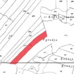 Field (Share) – Neo Chorio, Paphos — Paphos, Neo Chorio (18)