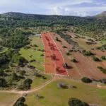 Field (Share) – Neo Chorio, Paphos — Paphos, Neo Chorio (10)