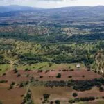 Field (Share) – Neo Chorio, Paphos — Paphos, Neo Chorio (11)