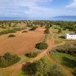 Field (Share) – Neo Chorio, Paphos — Paphos, Neo Chorio (12)