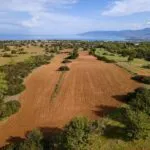 Field (Share) – Neo Chorio, Paphos — Paphos, Neo Chorio (13)