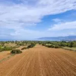 Field (Share) – Neo Chorio, Paphos — Paphos, Neo Chorio (14)