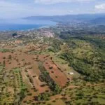 Field (Share) – Neo Chorio, Paphos — Paphos, Neo Chorio (15)