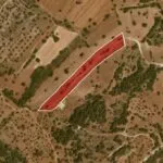 Field (Share) – Neo Chorio, Paphos — Paphos, Neo Chorio (16)