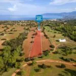 Field (Share) – Neo Chorio, Paphos — Paphos, Neo Chorio (9)