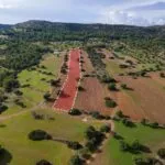 Field (Share) – Neo Chorio, Paphos — Paphos, Neo Chorio (11)