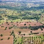 Field (Share) – Neo Chorio, Paphos — Paphos, Neo Chorio (12)