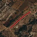 Field (Share) – Neo Chorio, Paphos — Paphos, Neo Chorio (16)