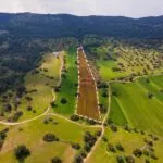 Field (Share) – Neo Chorio, Paphos — Paphos, Neo Chorio (11)