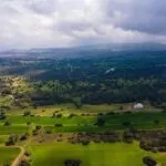 Field (Share) – Neo Chorio, Paphos — Paphos, Neo Chorio (12)