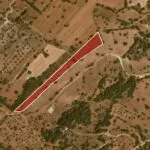 Field (Share) – Neo Chorio, Paphos — Paphos, Neo Chorio (14)