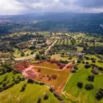 Field (Share) – Neo Chorio, Paphos — Paphos, Neo Chorio (10)