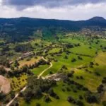 Field (Share) – Neo Chorio, Paphos — Paphos, Neo Chorio (12)