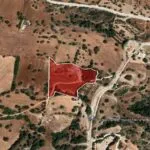 Field (Share) – Neo Chorio, Paphos — Paphos, Neo Chorio (14)