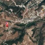 Field (Share) – Neo Chorio, Paphos — Paphos, Neo Chorio (15)