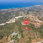 Field – Neo Chorio, Paphos — Paphos, Neo Chorio (7)