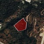 Field – Neo Chorio, Paphos — Paphos, Neo Chorio (10)