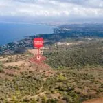 Field – Neo Chorio, Paphos — Paphos (8)